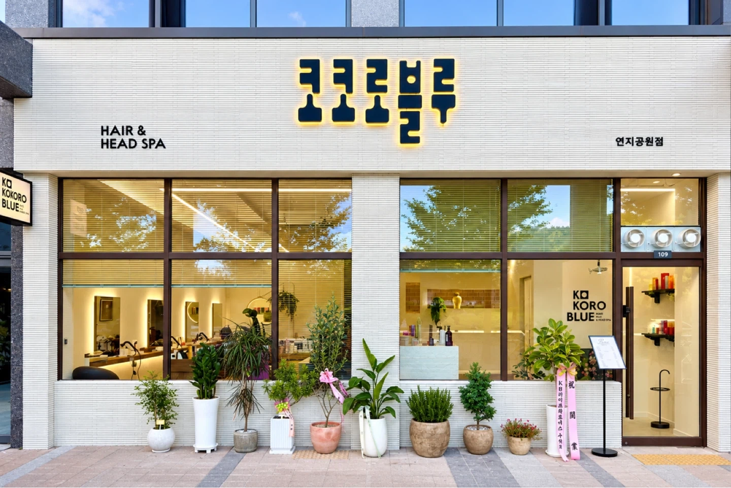 코코로블루 김해연지공원점 오픈멤버를 모집합니다