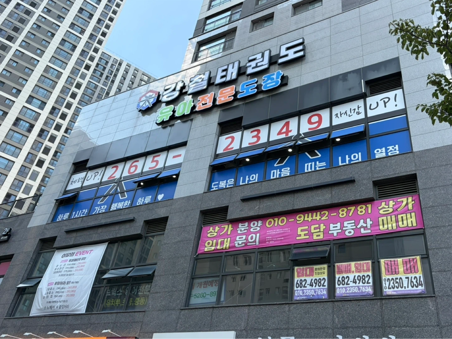 태권도 보조사범님 구합니다