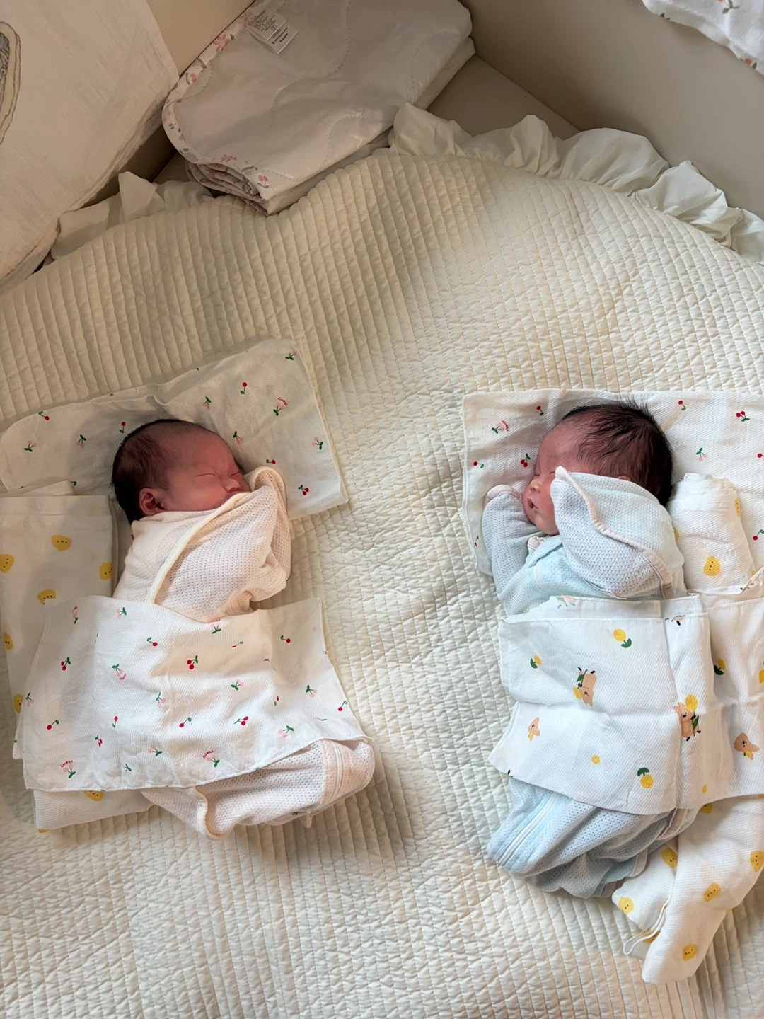 여자 쌍둥이 아기들 돌봐주실 이모님 구합니다