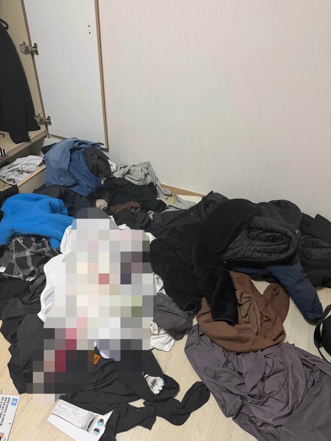 집 대청소 도와주실분