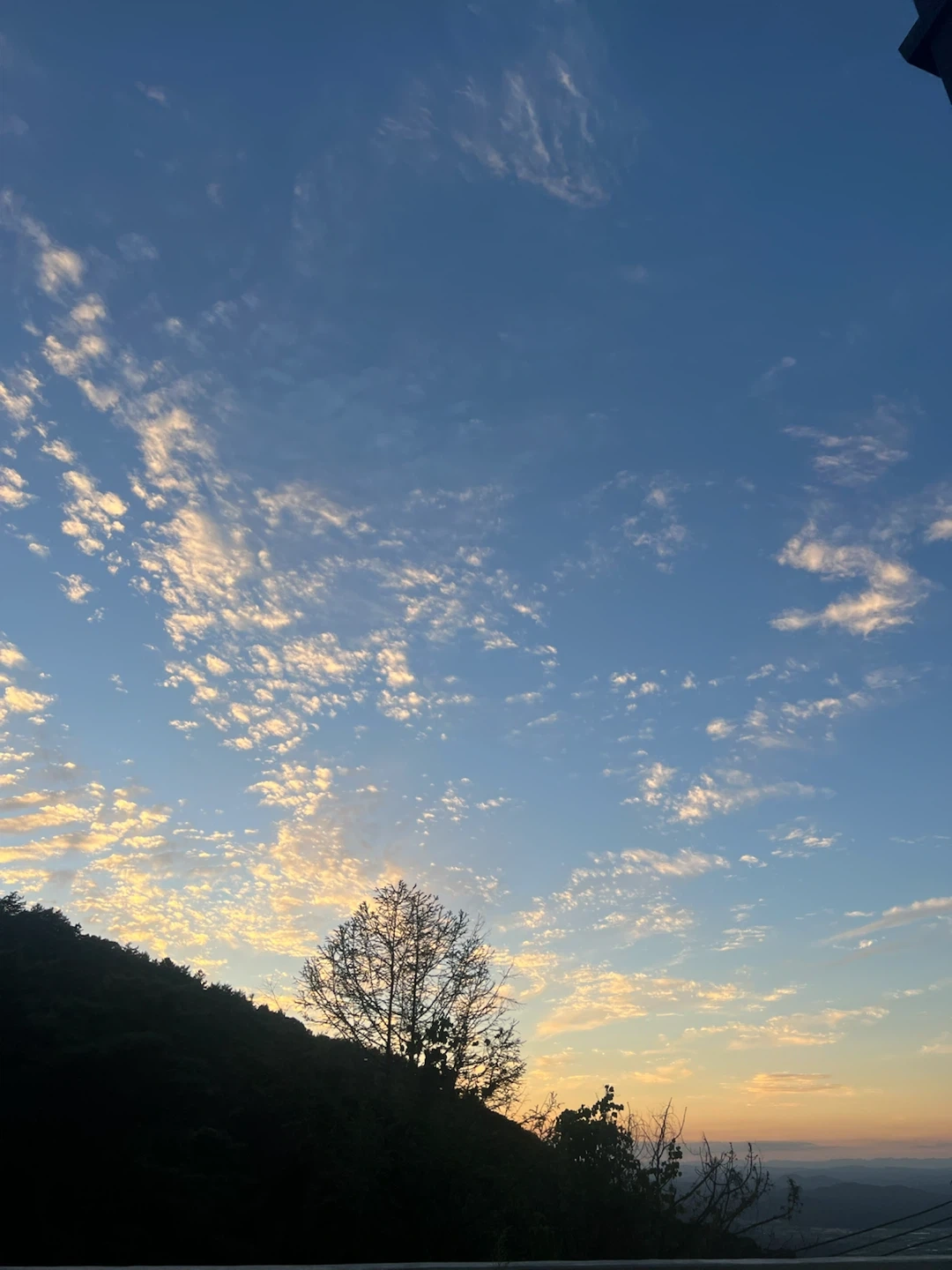 외국인 환영) 플라스틱 선별 알바
