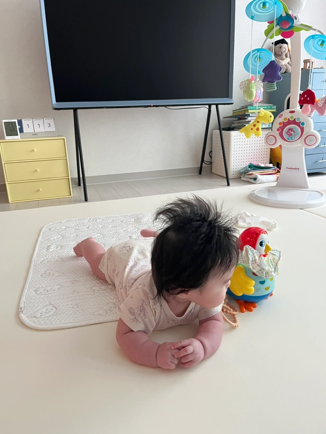 4개월 여자 아기 엄마와 함께 돌봐주실 분 구합니다!