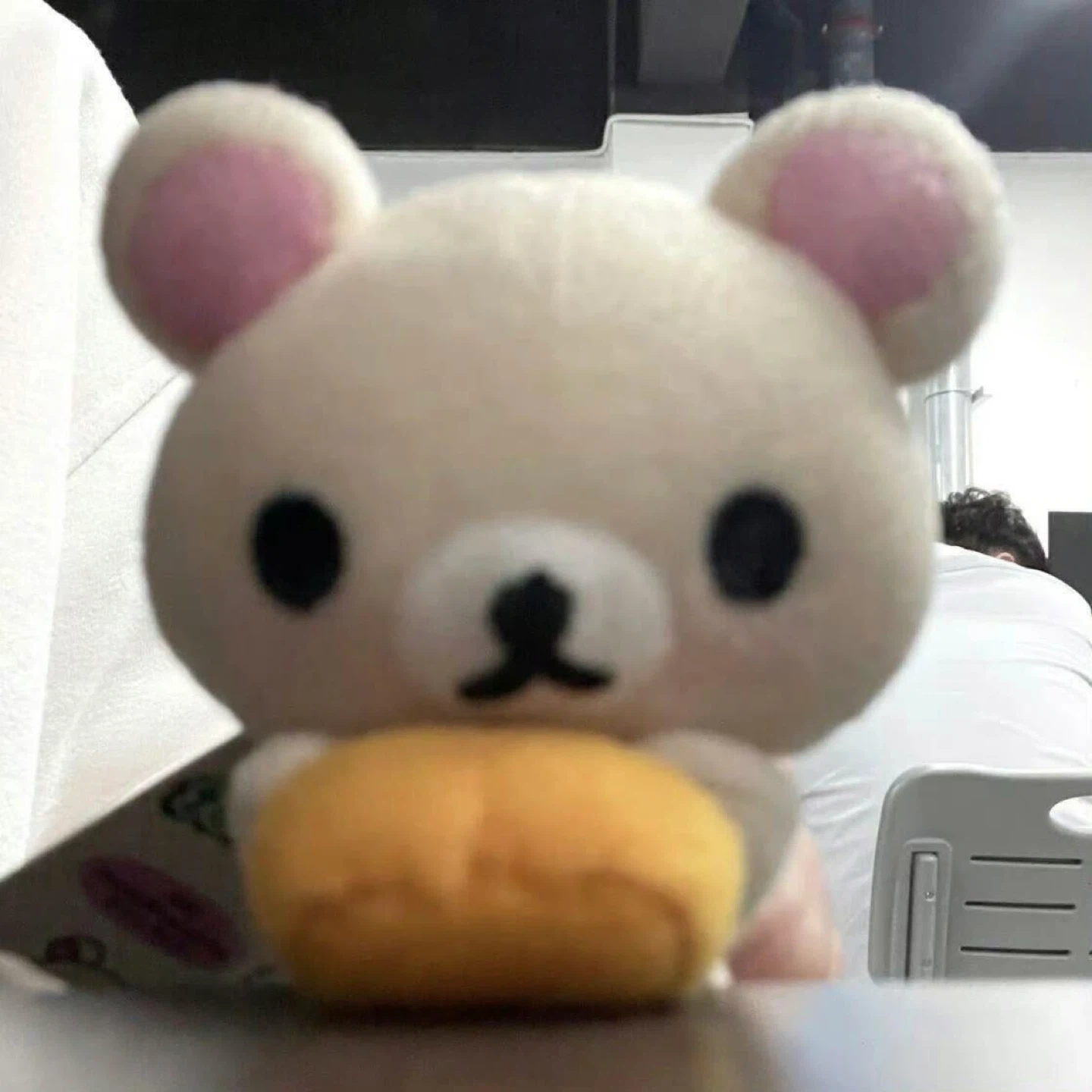 고2 수능 모고 대비 국어 과외 받아요