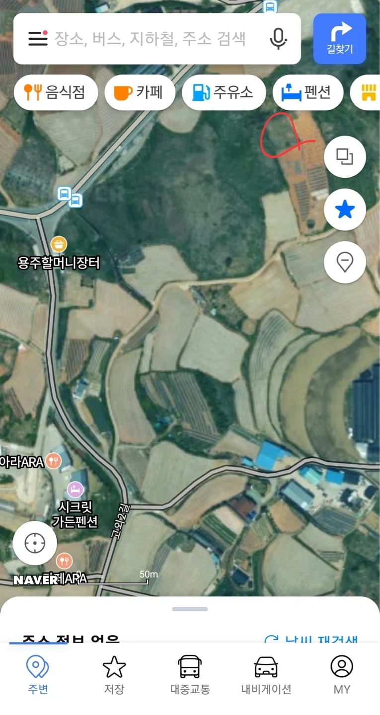 벌초 도와주실분