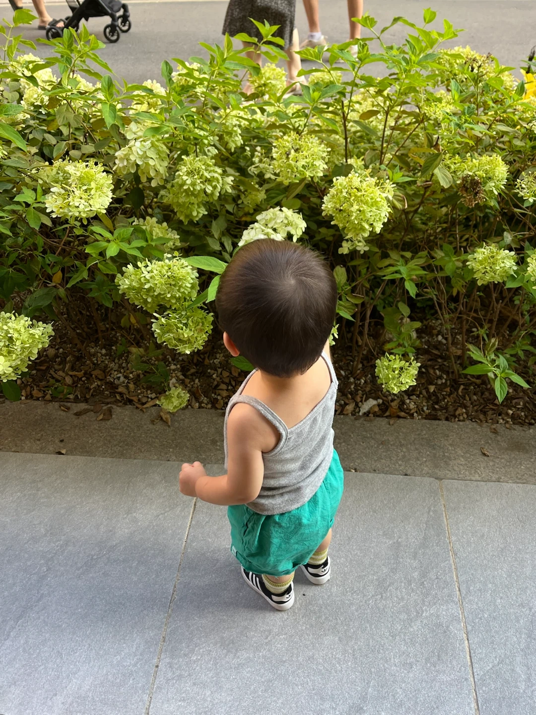 Native play sitter wanted