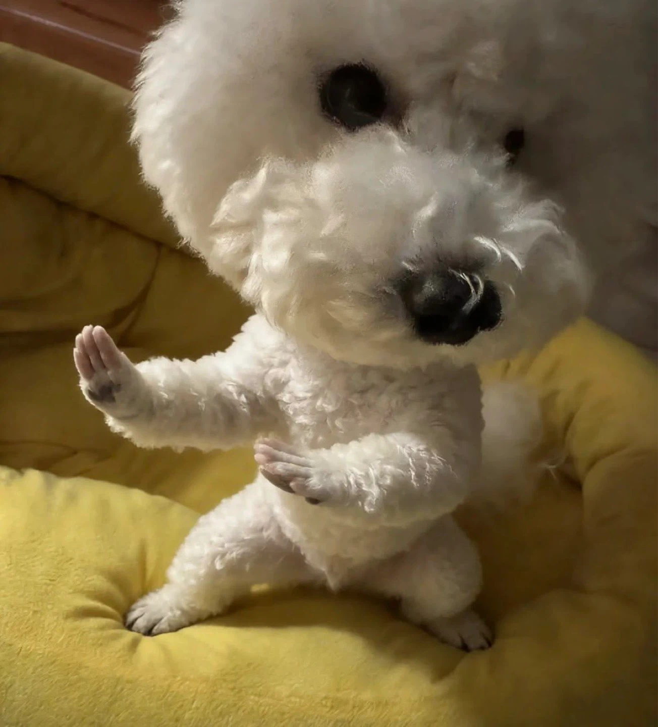 티켓팅 장인 모십니다
