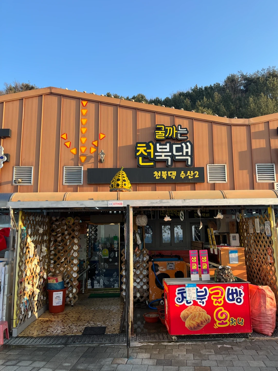 식당 알바 구합니다