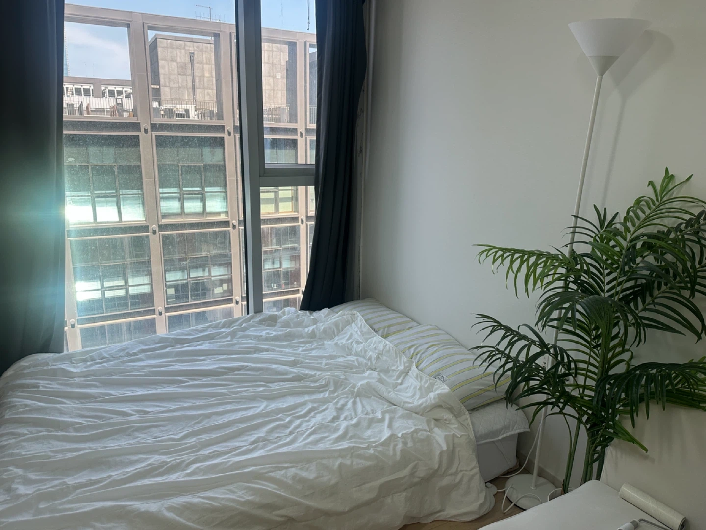 당일) 강남역 원룸 청소