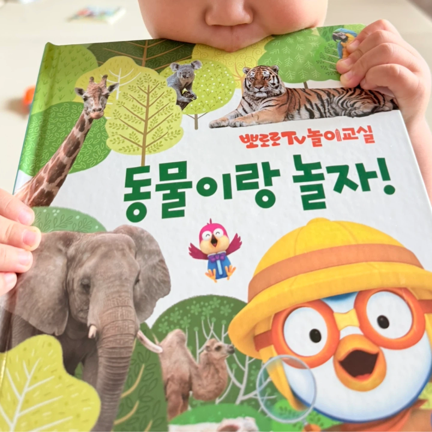 20개월 아기 하원도우미 이모님 모십니다.