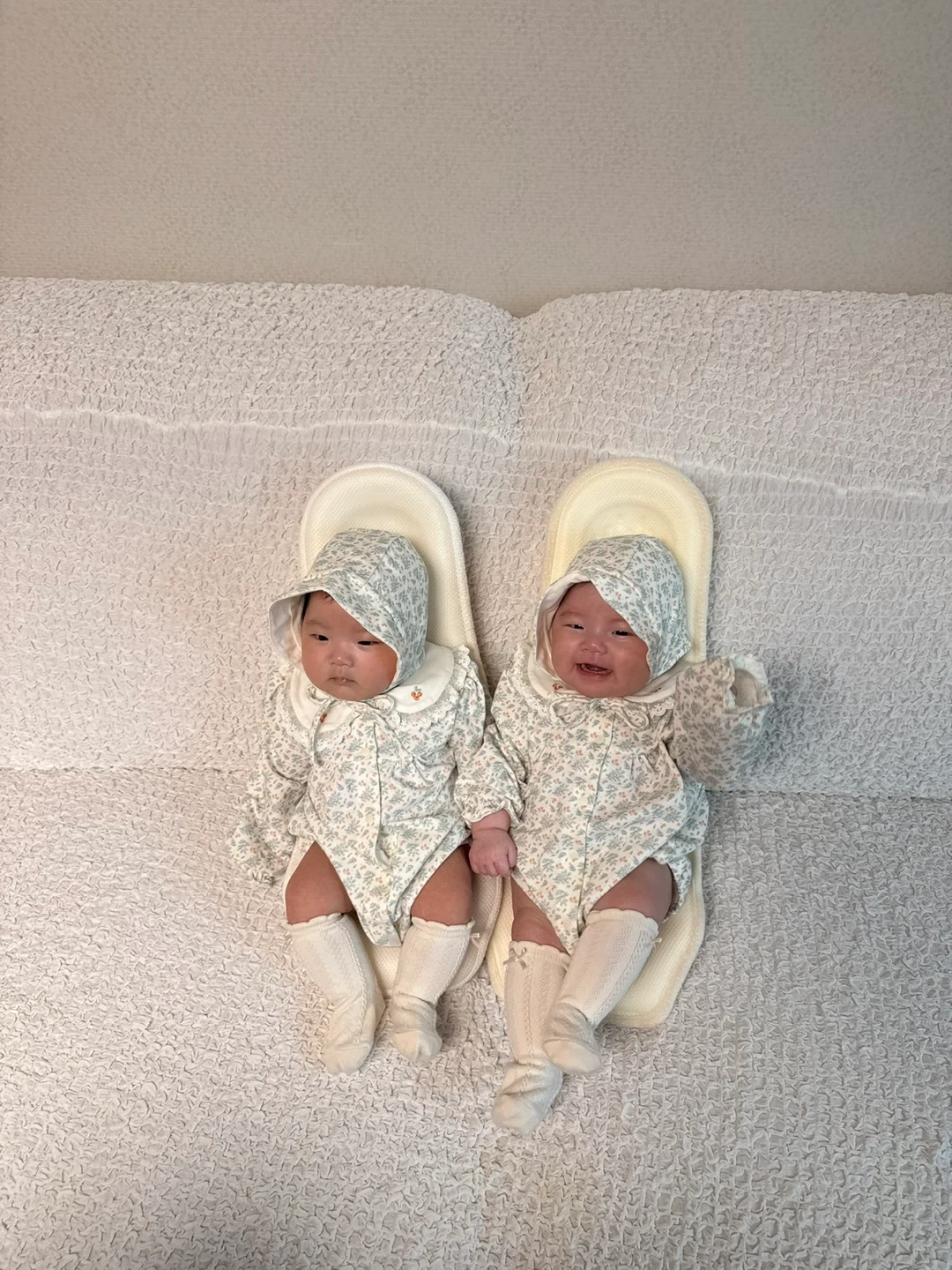 14개월 여아 쌍둥이 함께 봐주실 분 구합니다