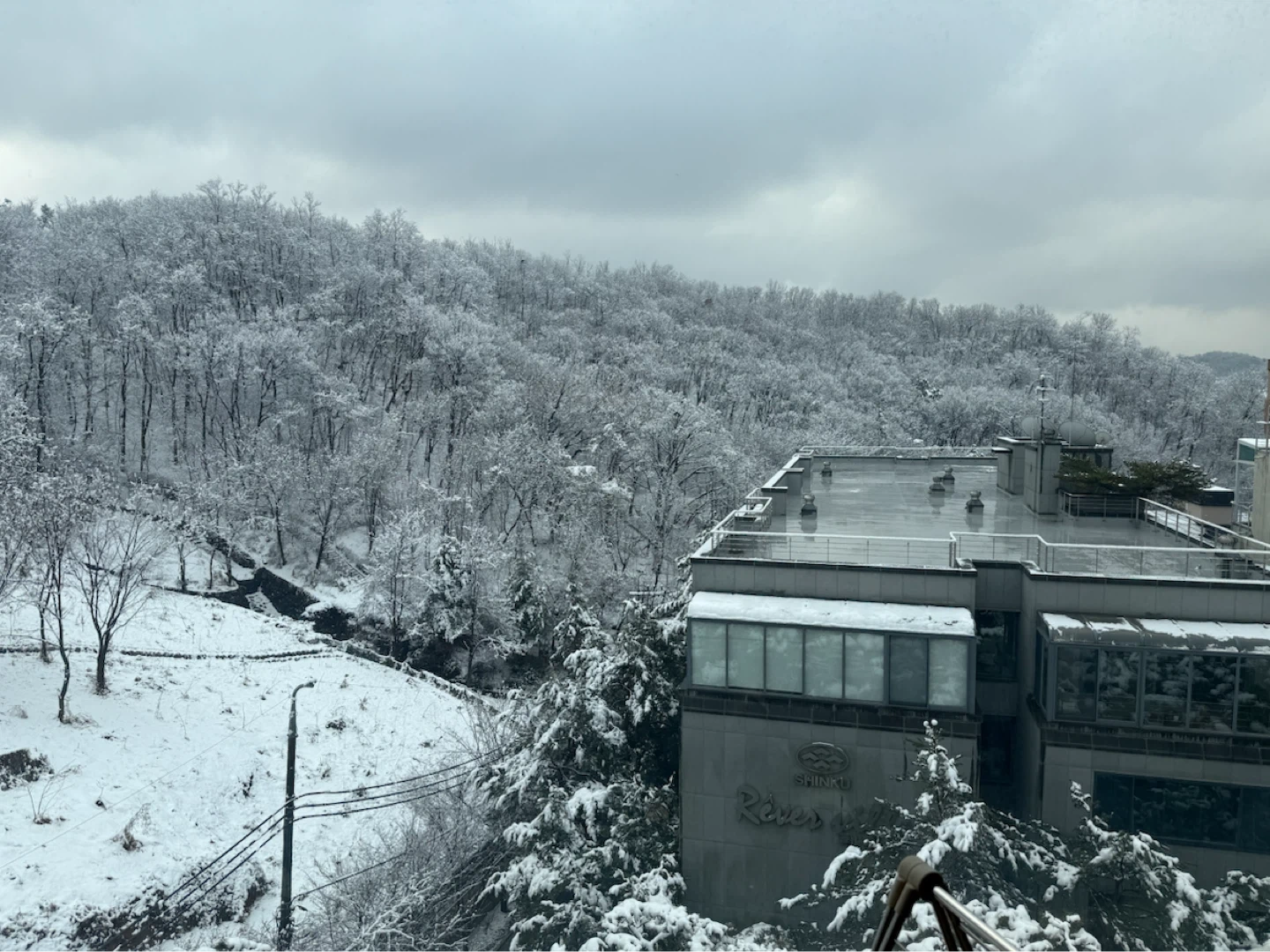 따뜻하고 성실한 가사 아주머니를 모십니다
