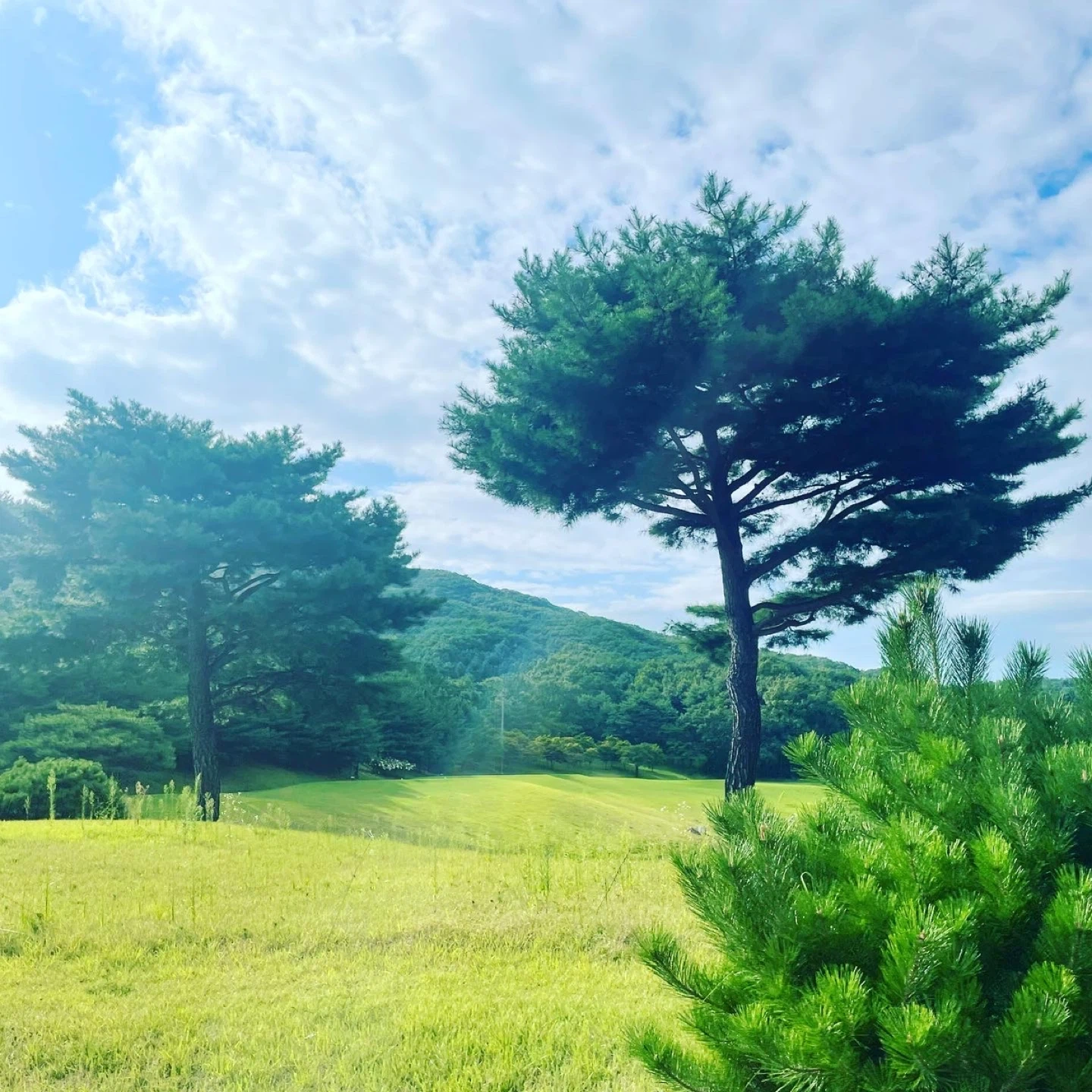 16개월 남아 입주 시터님 구인합니다.