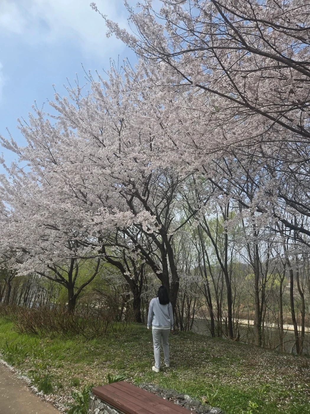 한달에 한번 가정집 청소