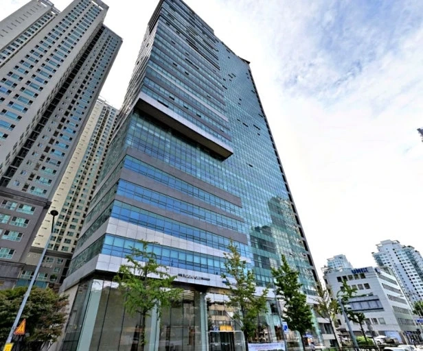 신입/경력무관 팀원 모집