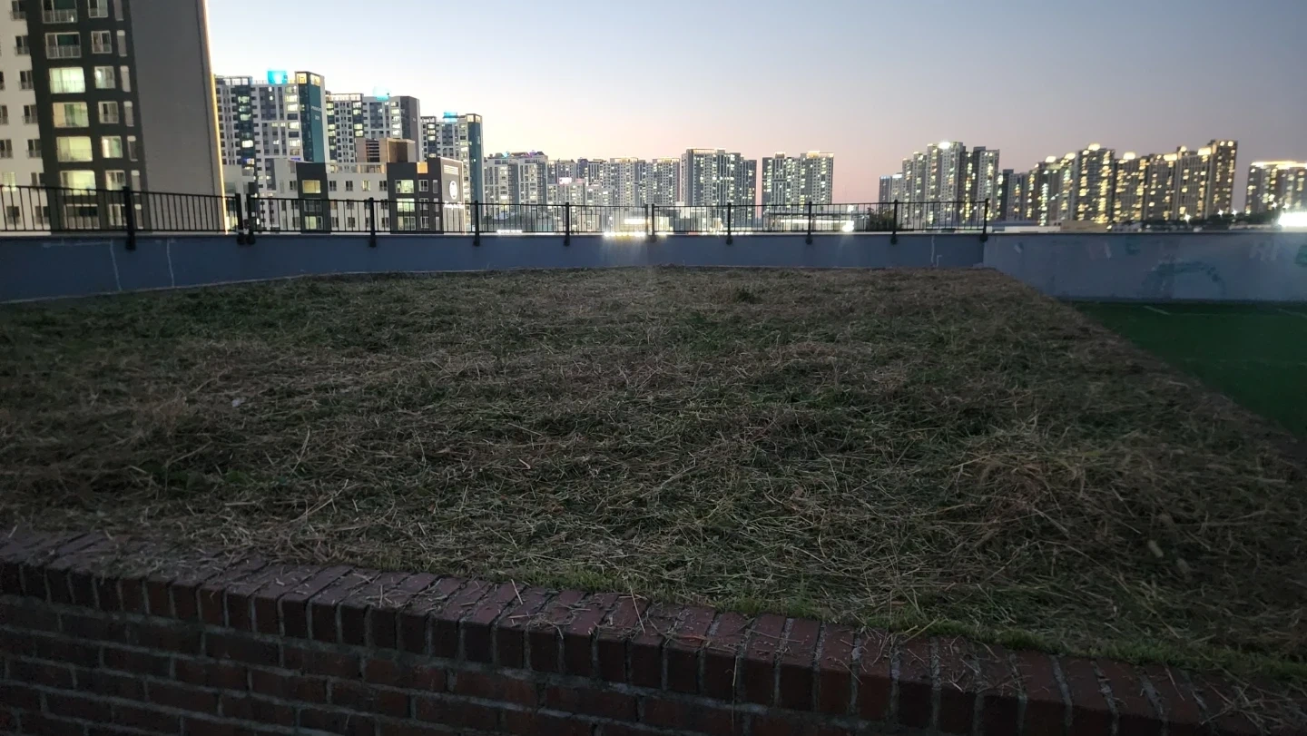 옥상 잡초제거된 풀 정리