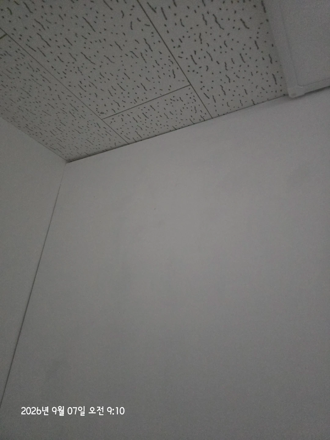 가벽 철거 해주실분