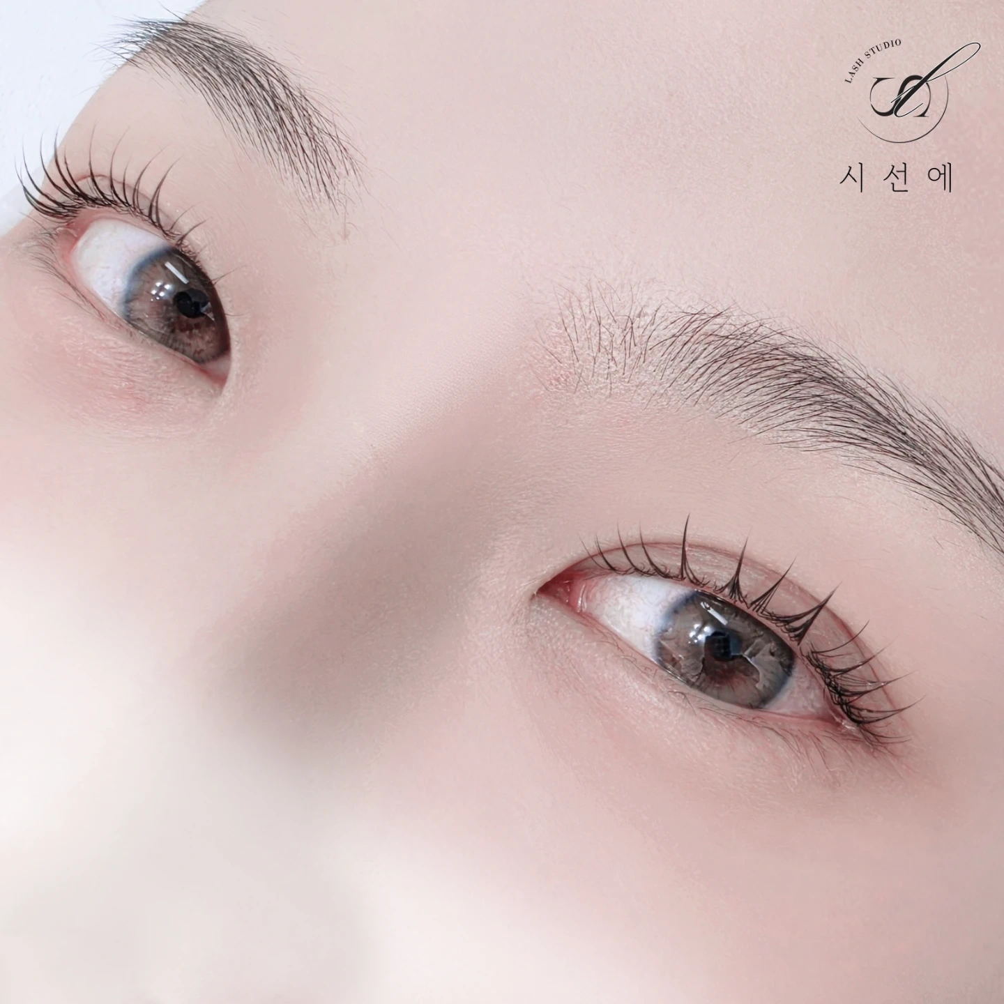 속눈썹 클래식 연장 모델
