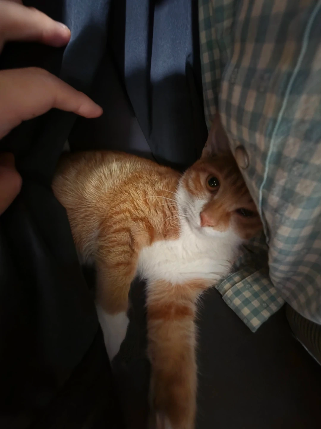 라이더스 모집