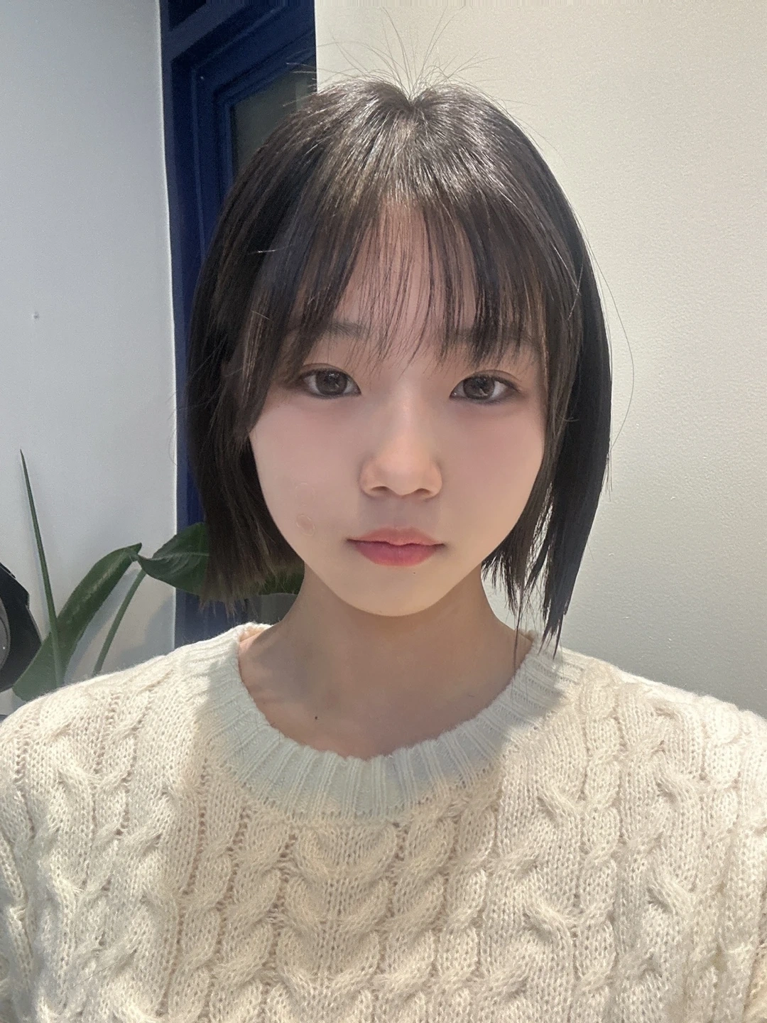 원장님 포트폴리오 모델 구합니다.(살롱에이 삼성점)