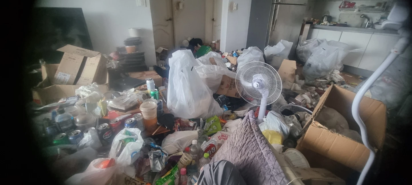 집청소 급한데 지금 가능하신분 같이 할꺼라