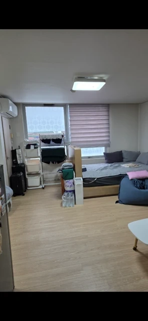 부분도배해주실분 구해요