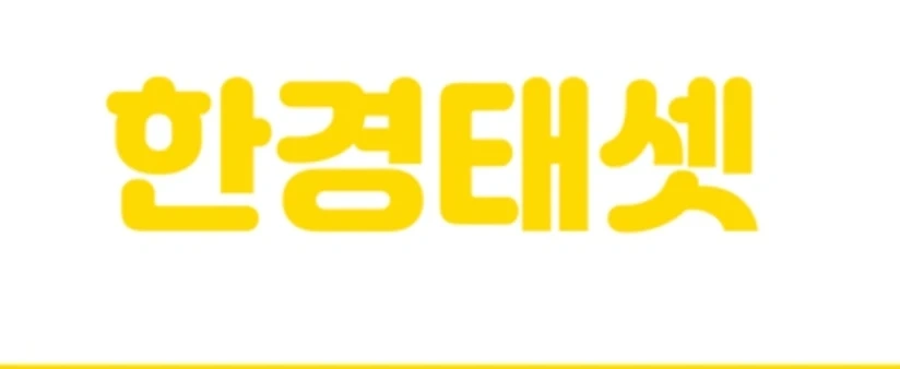 태셋 자격증 공부 도와주실 분