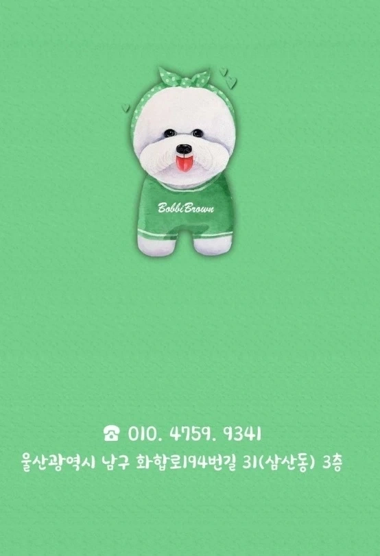 함께 일하실 애견미용선생님 모집합니다