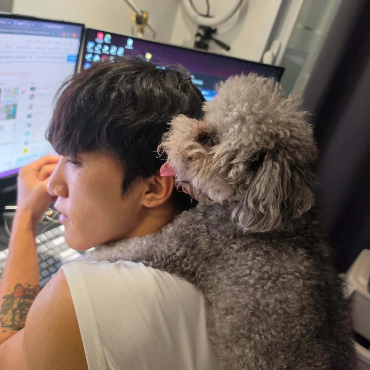 9/10 ~ 9/15 강아지 정리 (오전오후 2번)