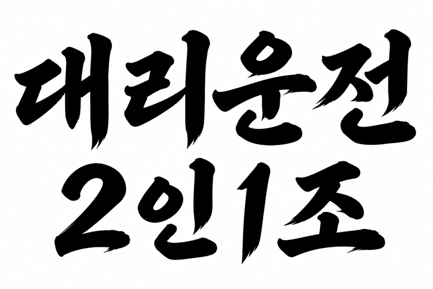 2인1조 대리운전