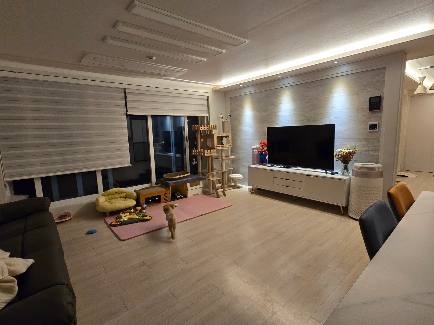 주 2회 청소&음식 도와주실 선생님 구해봅니다.