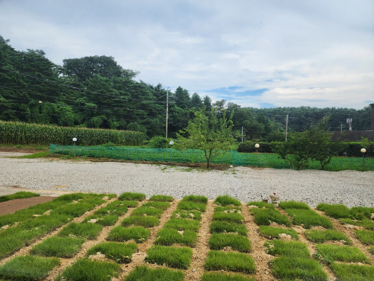 주방보조 구함