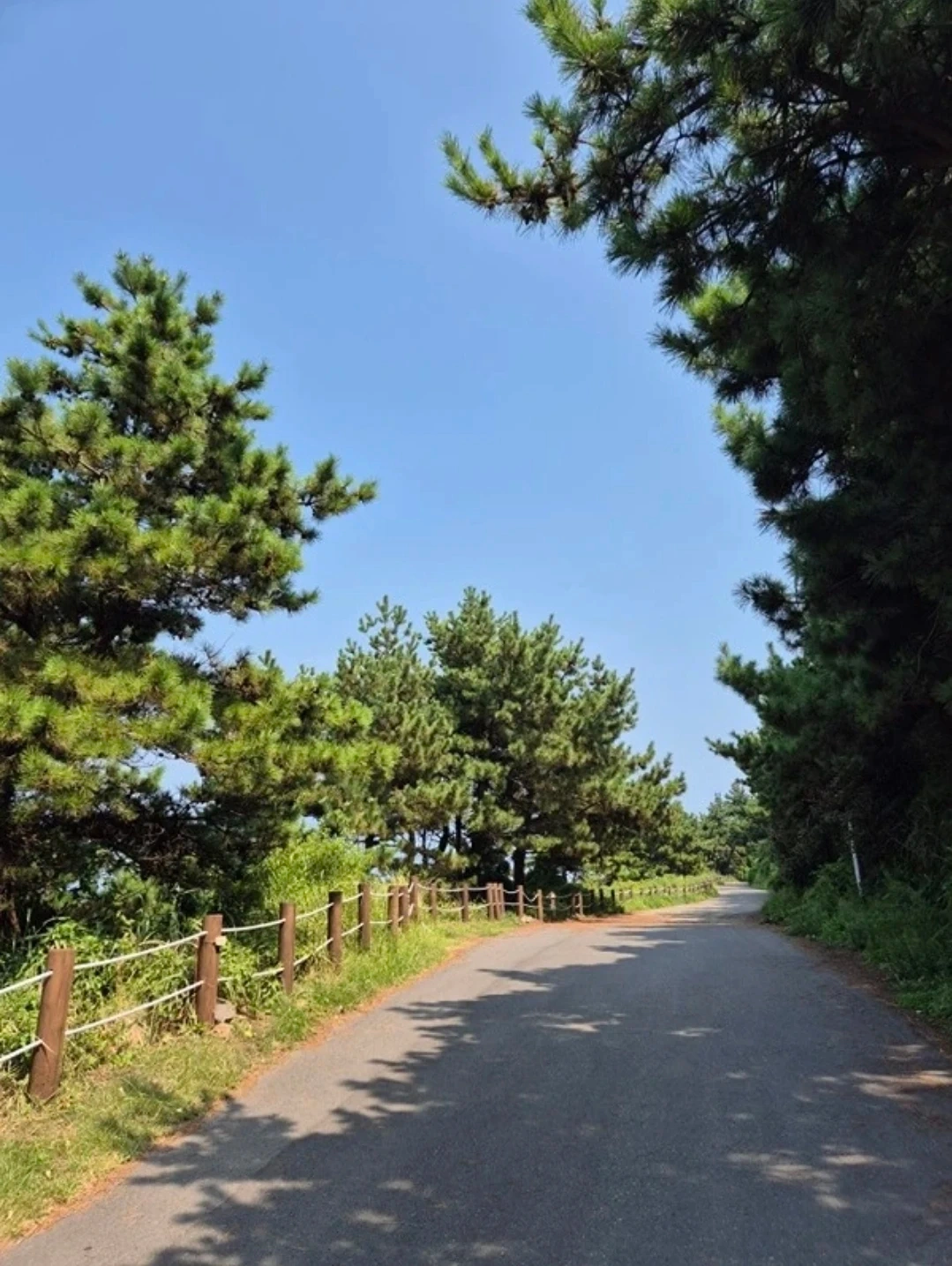간단한업무하실분
