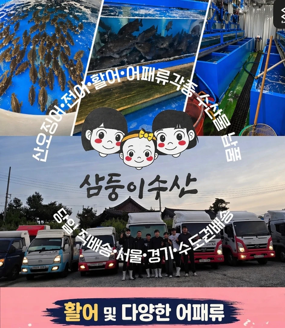 삼둥이수산 배송팀 정직원구합니다 활어차 배송기사