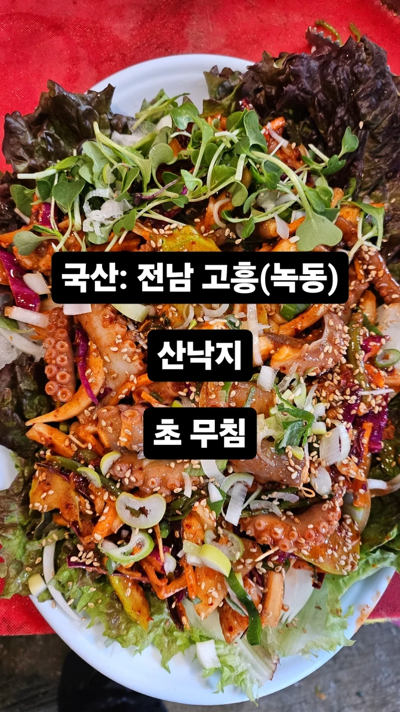 주방설거지및보조