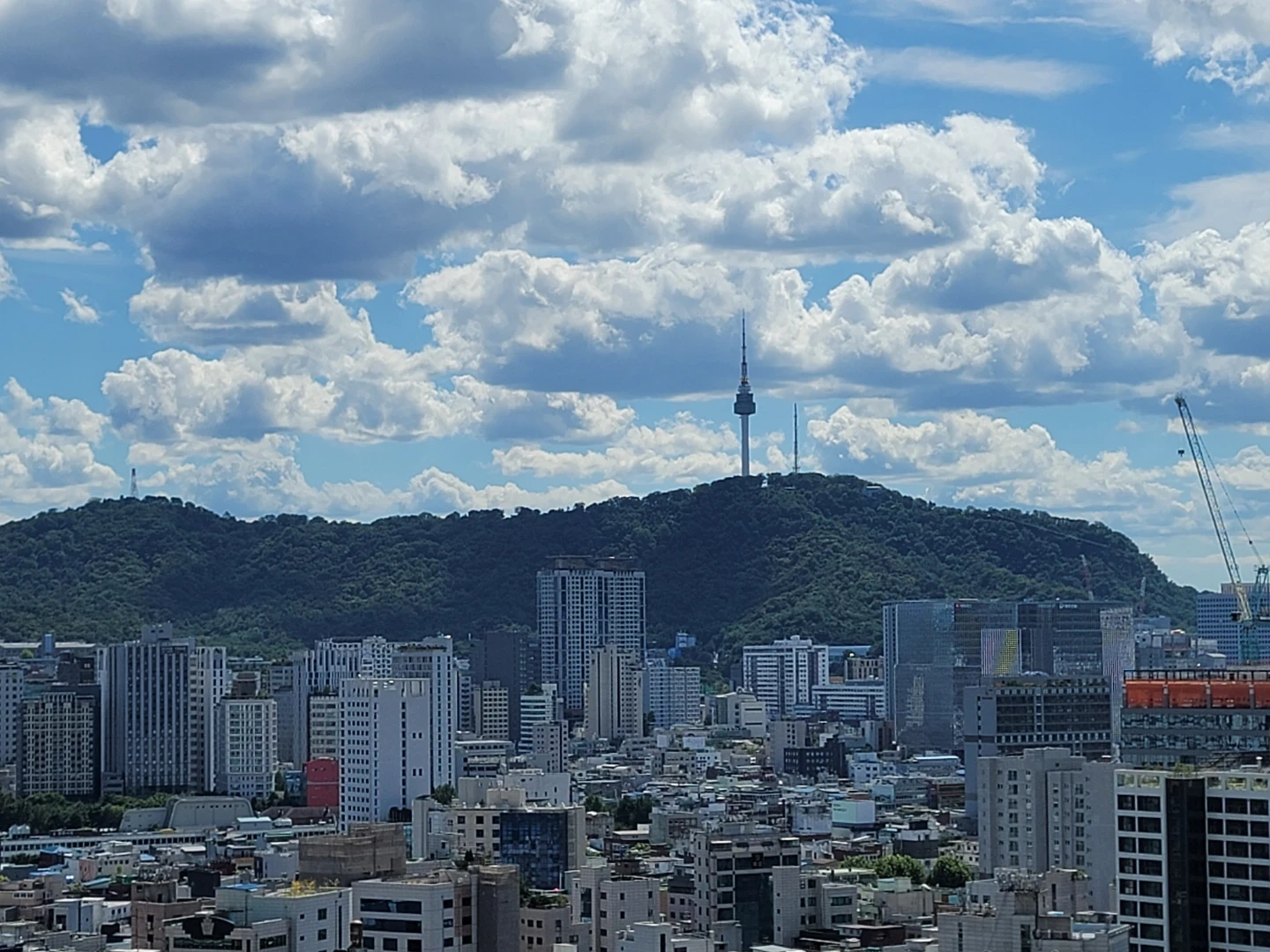 수능 세계사 과외 선생님 모십니다.