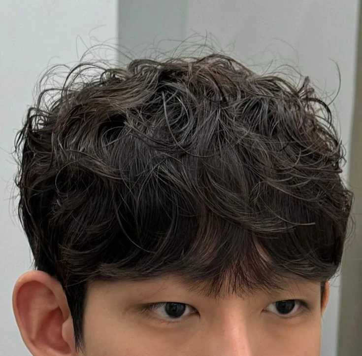 10월 18일 펌,커트 시술비없이 헤어모델 구합니다