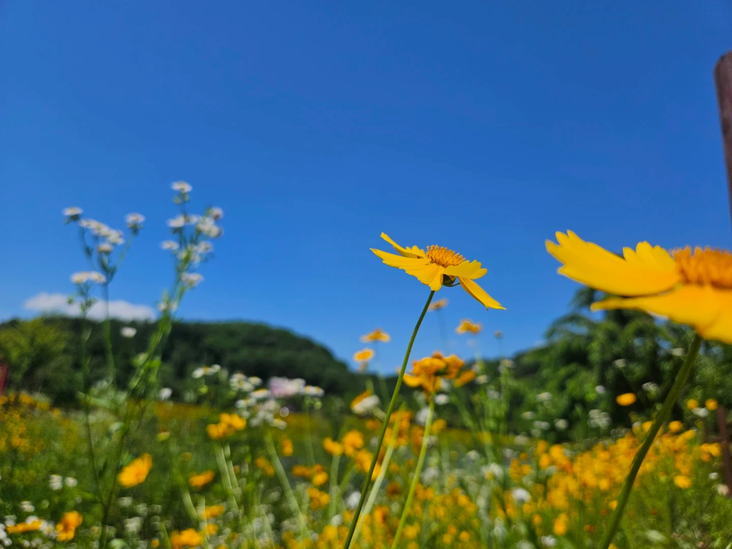 Cu용두점 화.목.금 17시~02시까지 근무자 구해요
