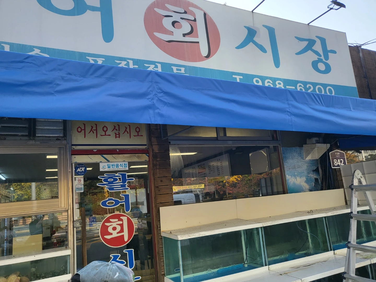 활어회시장 서빙알바구해요