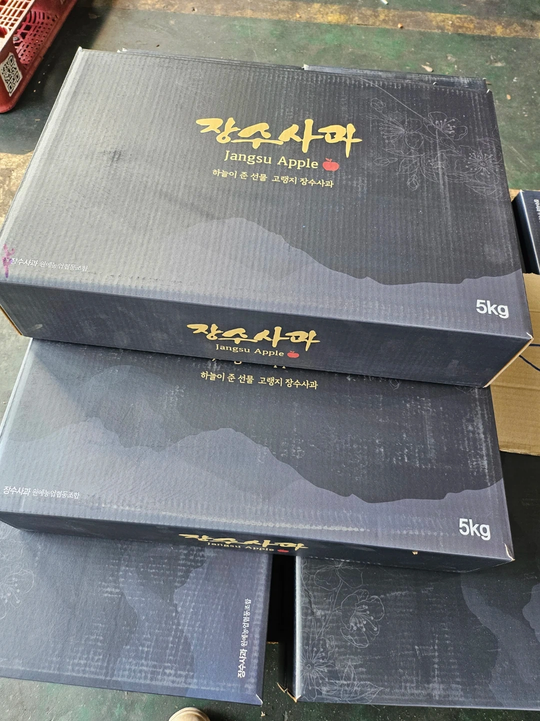 사과5kg 19상자 배달해주실분