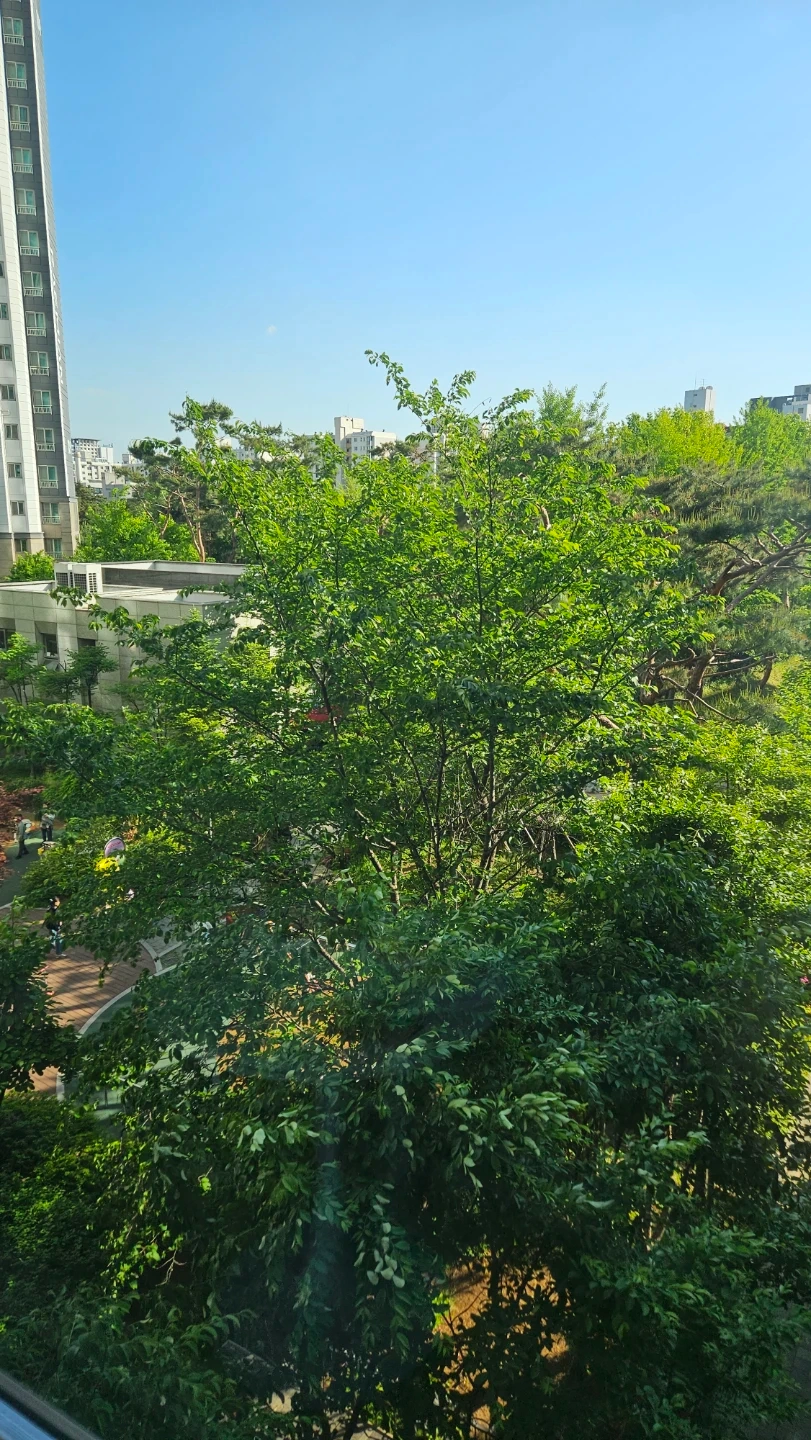 7살 여아 하원도우미 구합니다 (단지내)