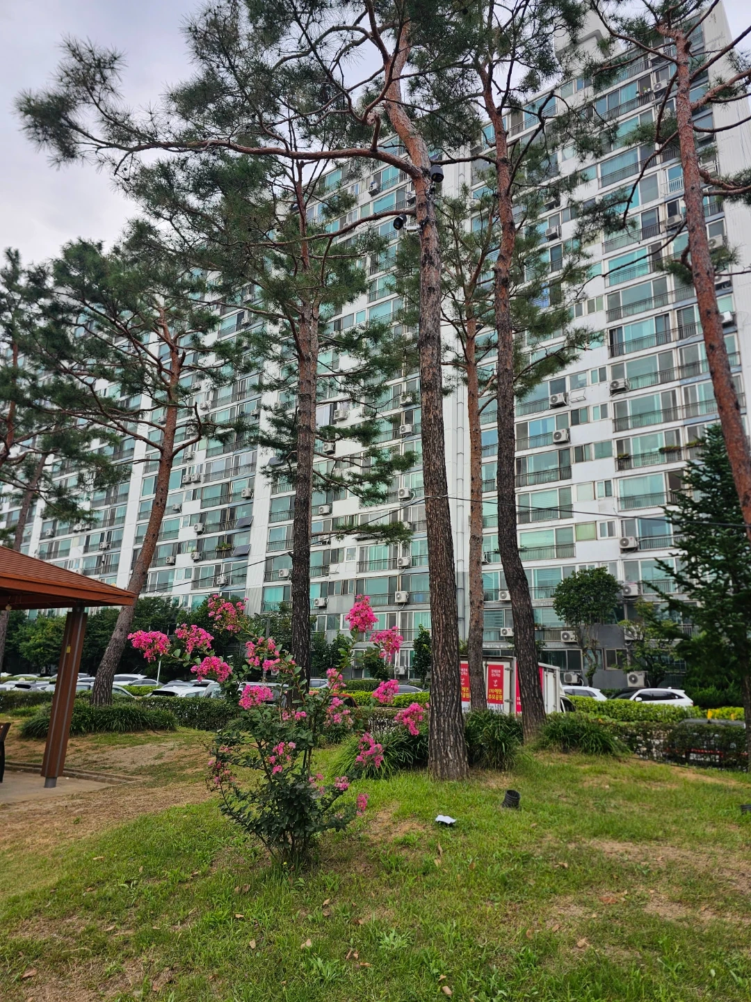 매주 퇴원 동행 구합니다