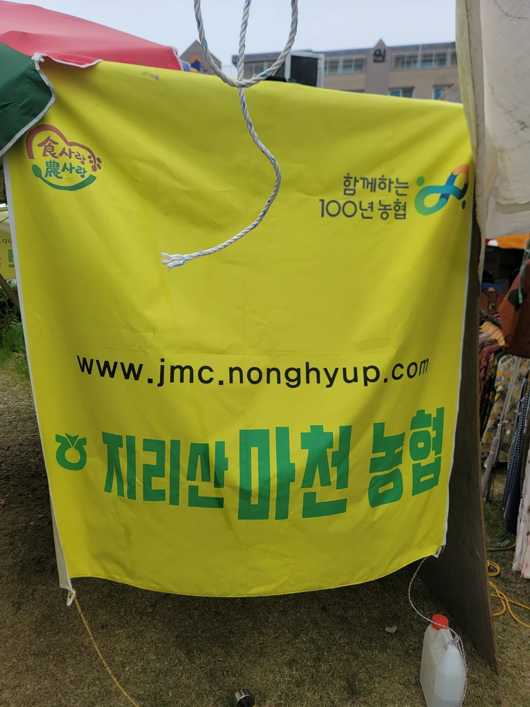 문경오미자축제 홍보도우미 **구해요