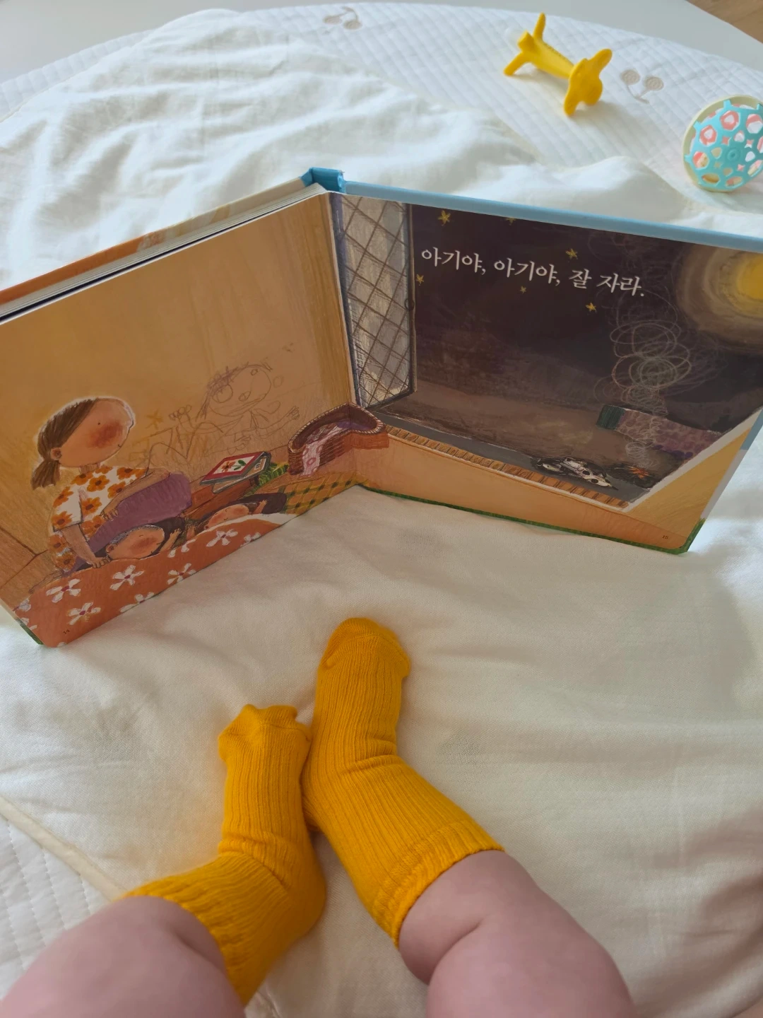2주에 1번 정기적으로 집 청소 해주실 분