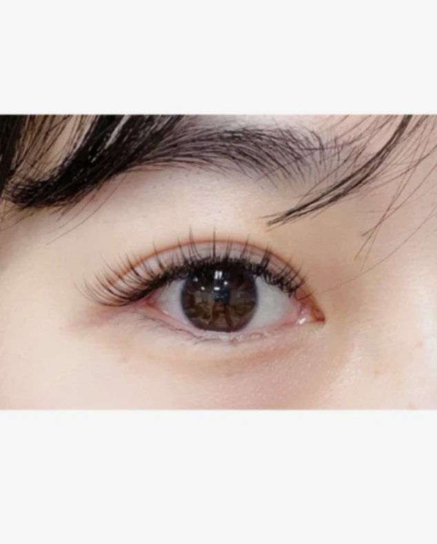 속눈썹연장 모델 구해요