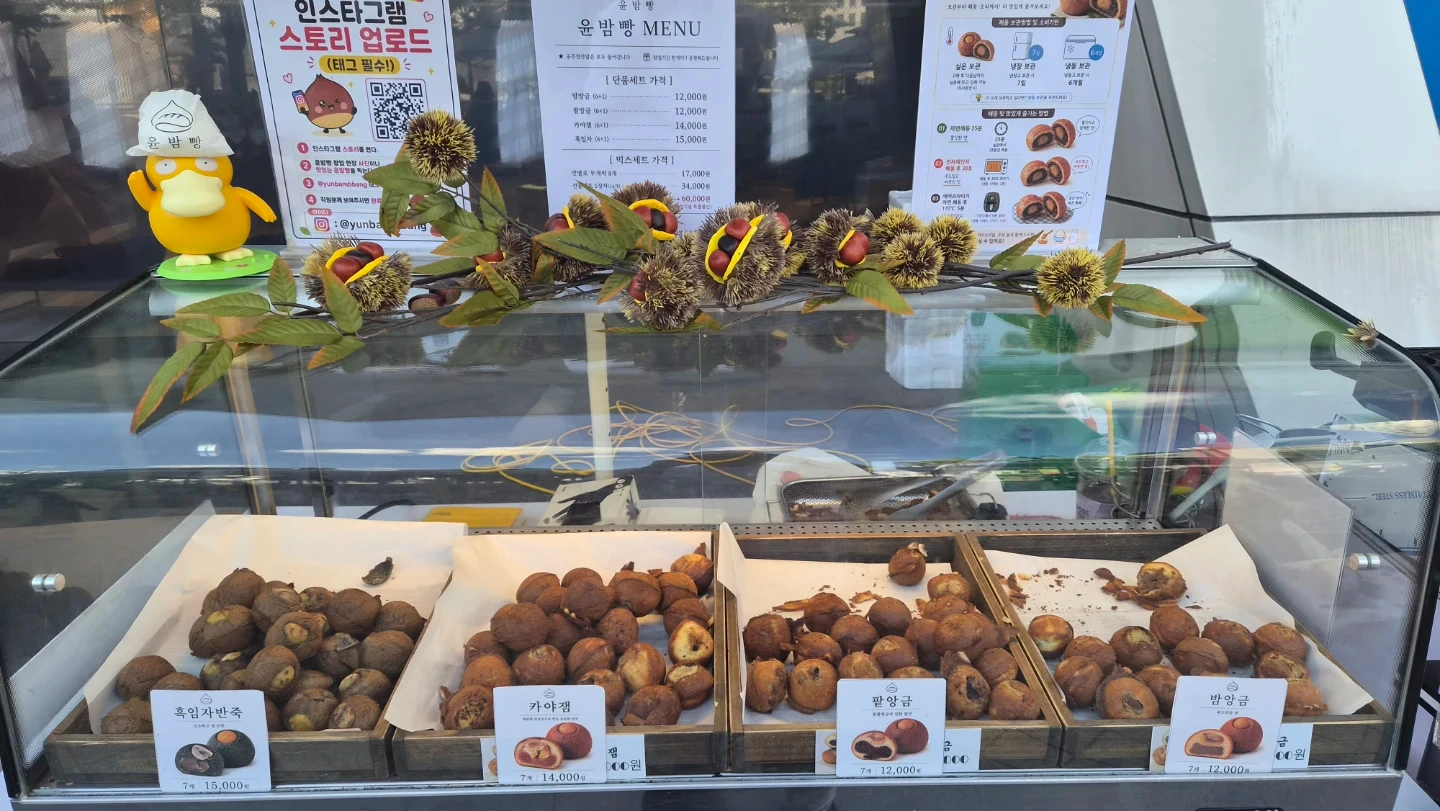 3일간 행사 팝업 알바구합니다