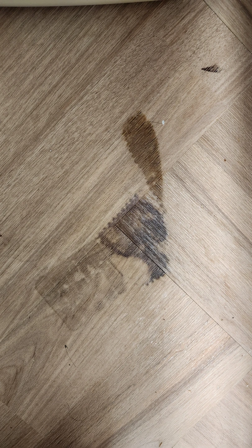 바닥오염제거