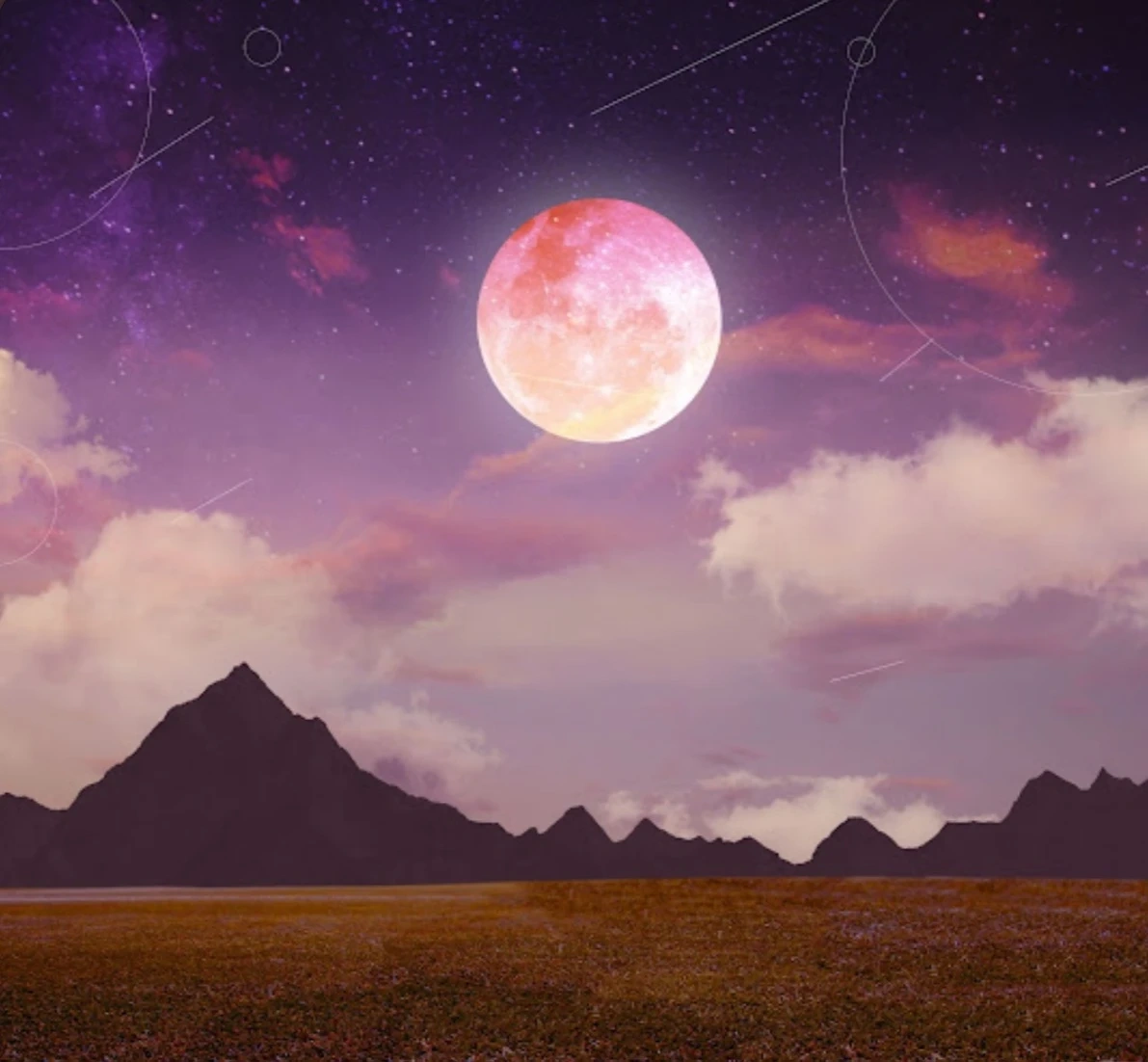 단순 서류 작업. 도움 주실분을 구합니다