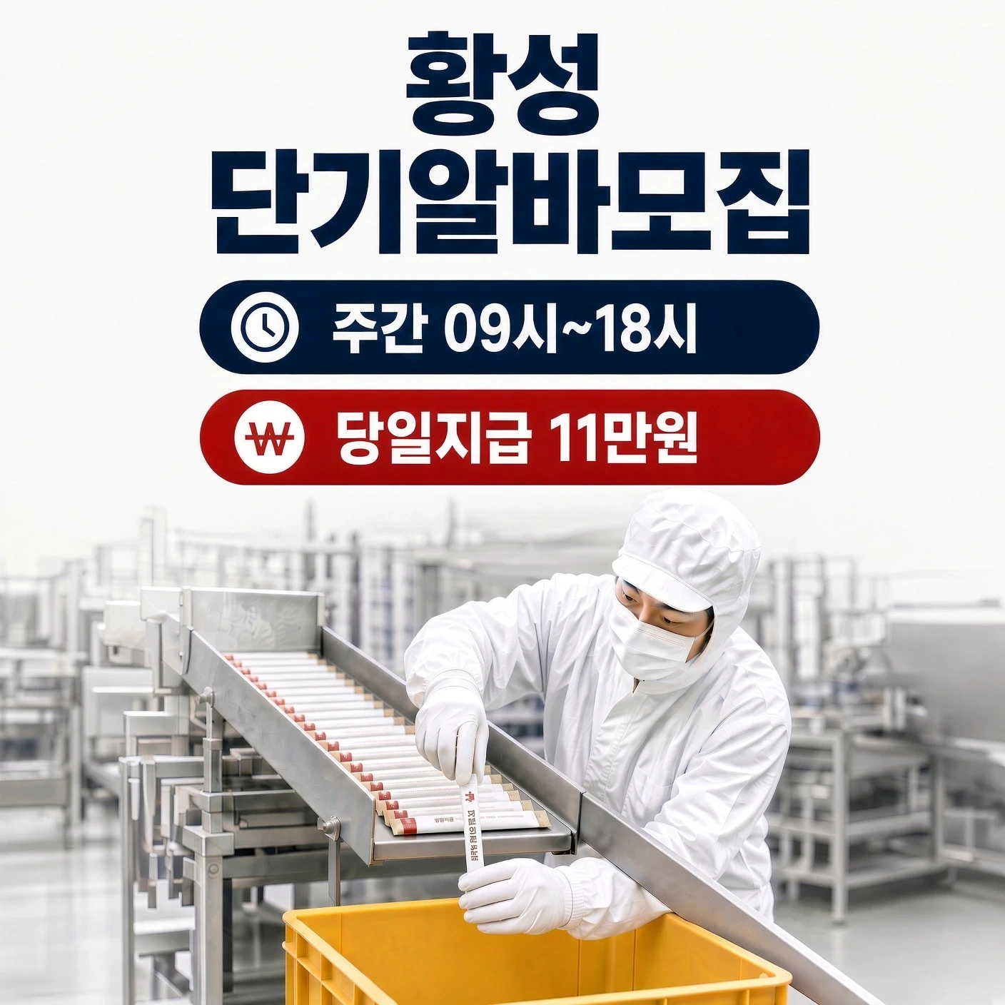 당일지급)다음주 횡성 주간 아르바이트모집
