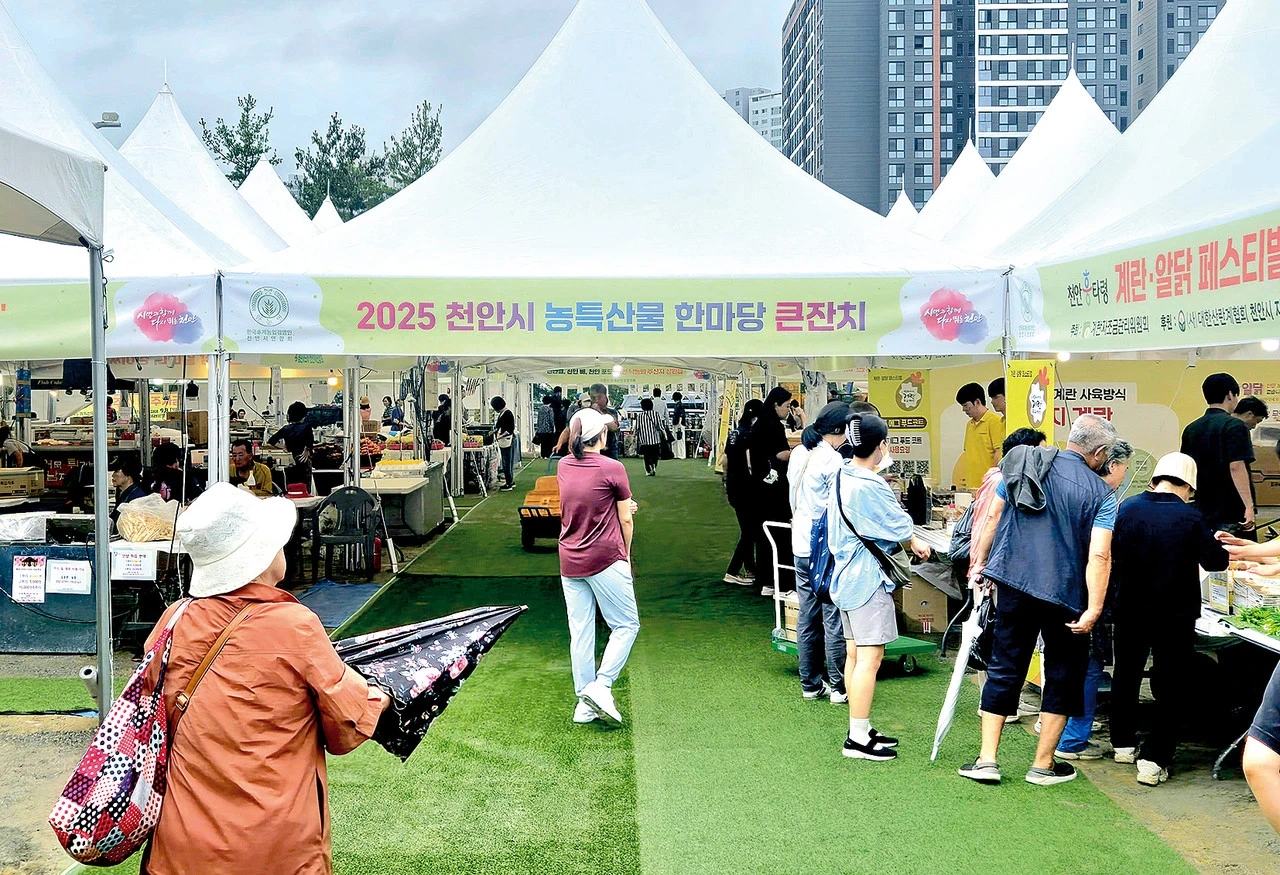 천안 농특산물 한마당 큰잔치 행사장 스탭 급구