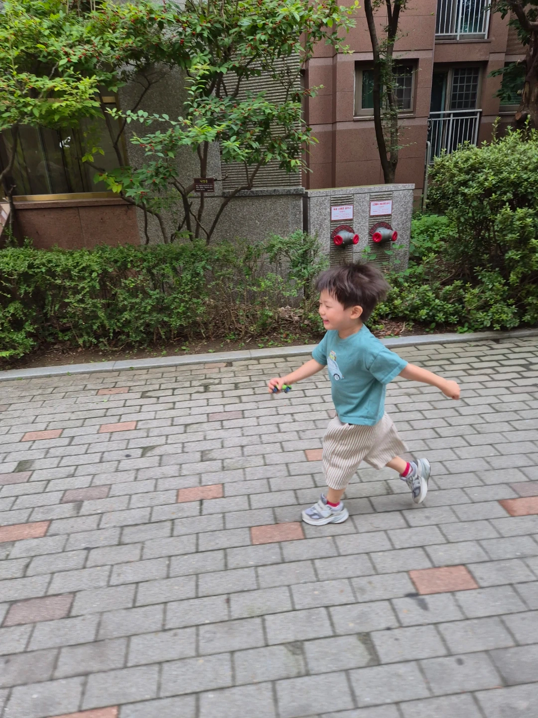 4살 아이 체육/놀이 선생님 구해요!